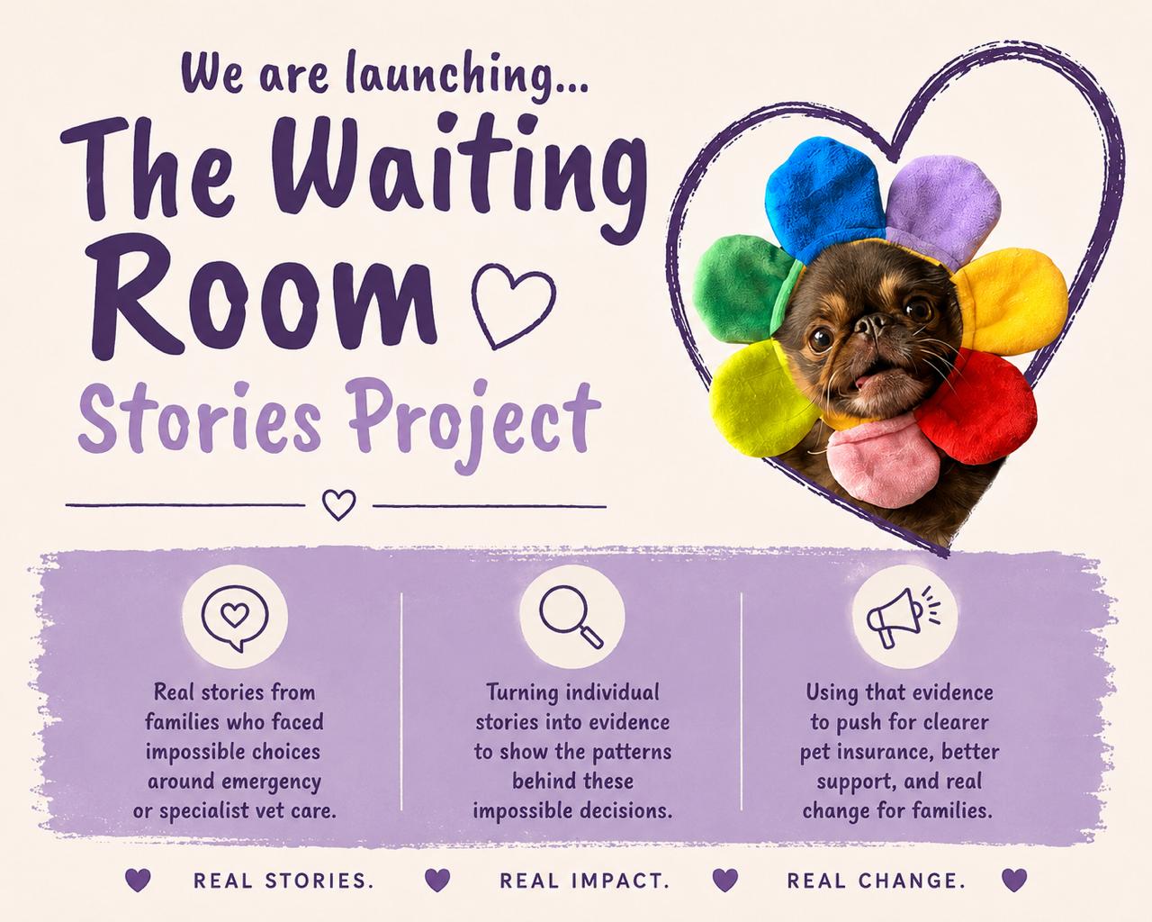 The Waiting Room Stories Project — Real Stories. Real Impact. Real Change.