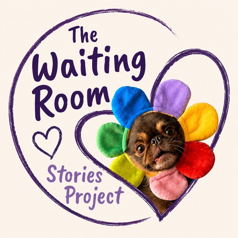 The Waiting Room Stories Project