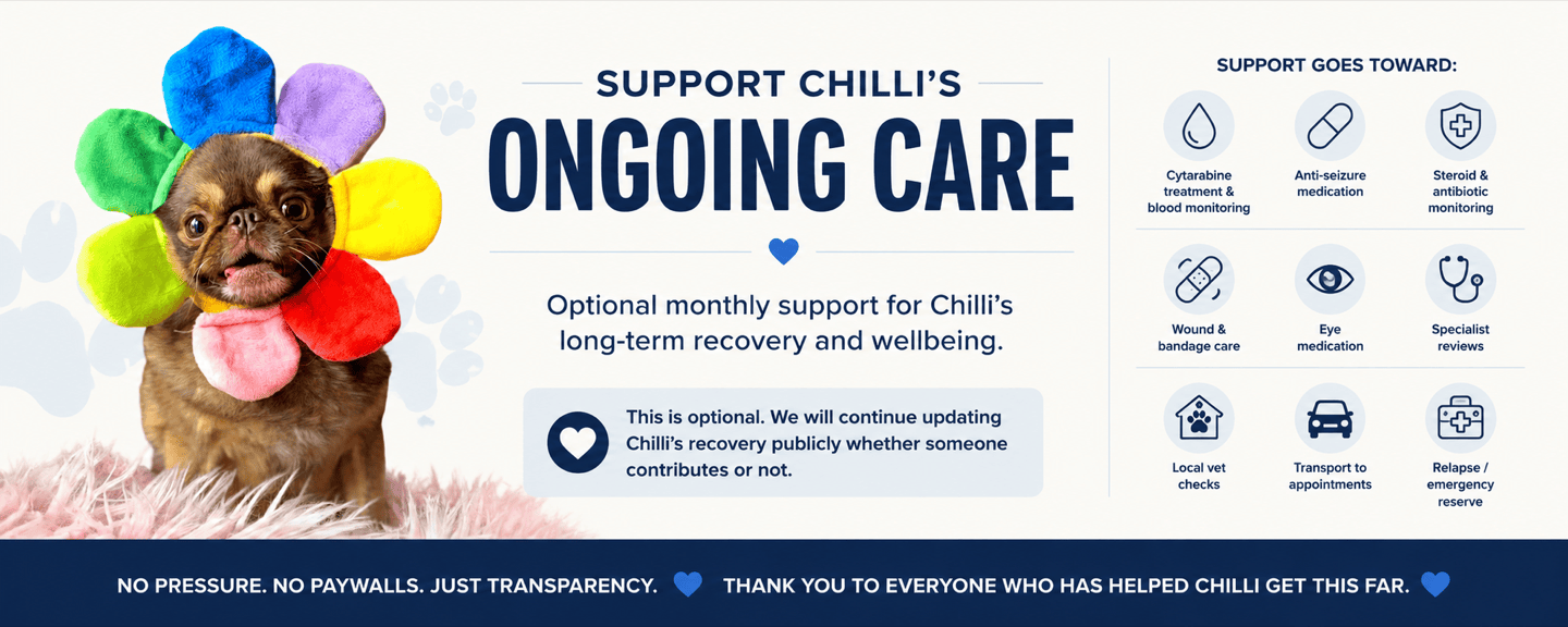 Support Chilli's ongoing care