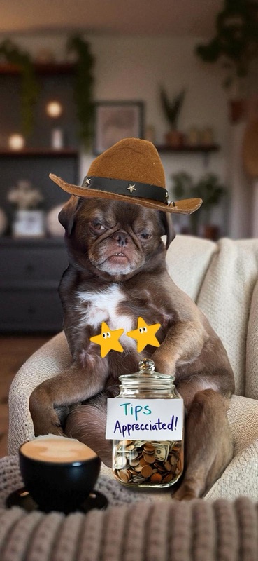Cowboy Chilli at the beach